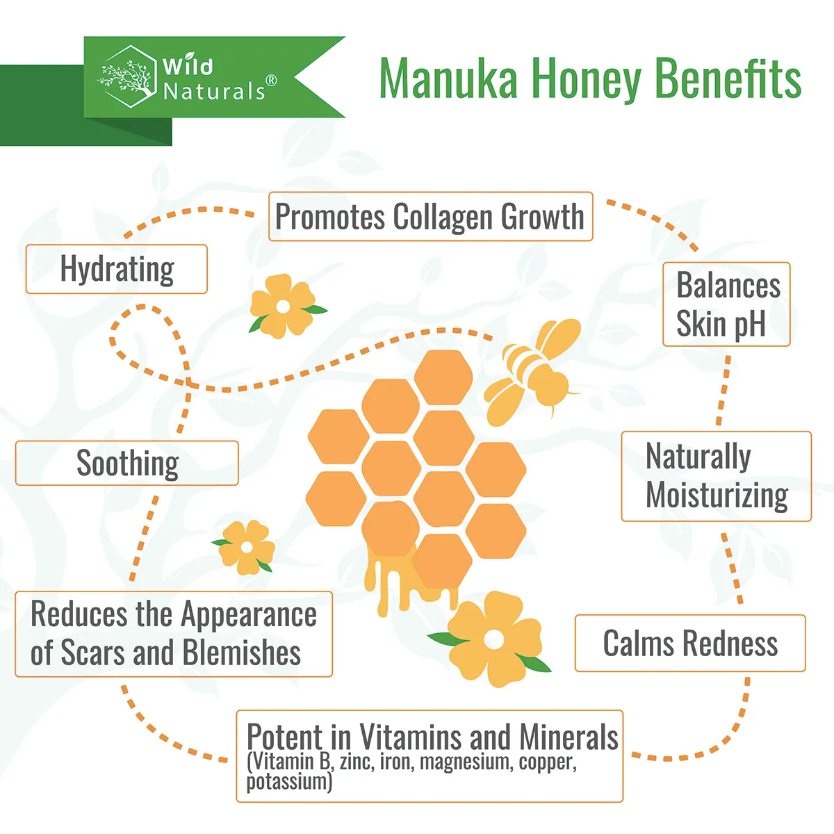 Manuka Honey Shampoo