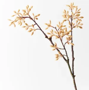 Simplex Seed Spray Stem | Natural 70cm